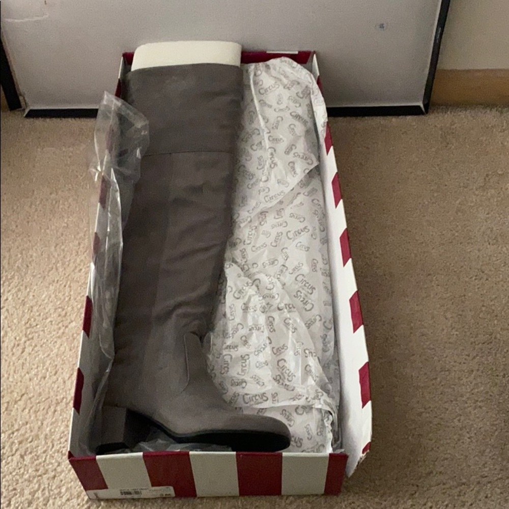 Grey suede Sam Edelman over the knee boot.